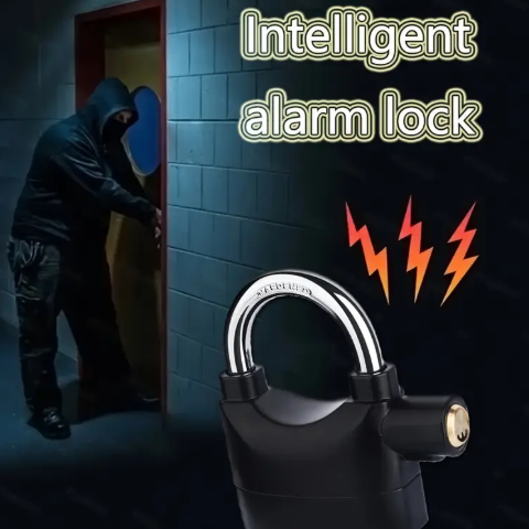 Anti-Theft Alarm Lock